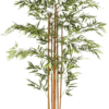 Bamboe 180 cm