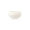 Bol IRIS dia10cm 24cl
