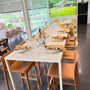 Table de réception LUMA 2m30x0m80 H110cm